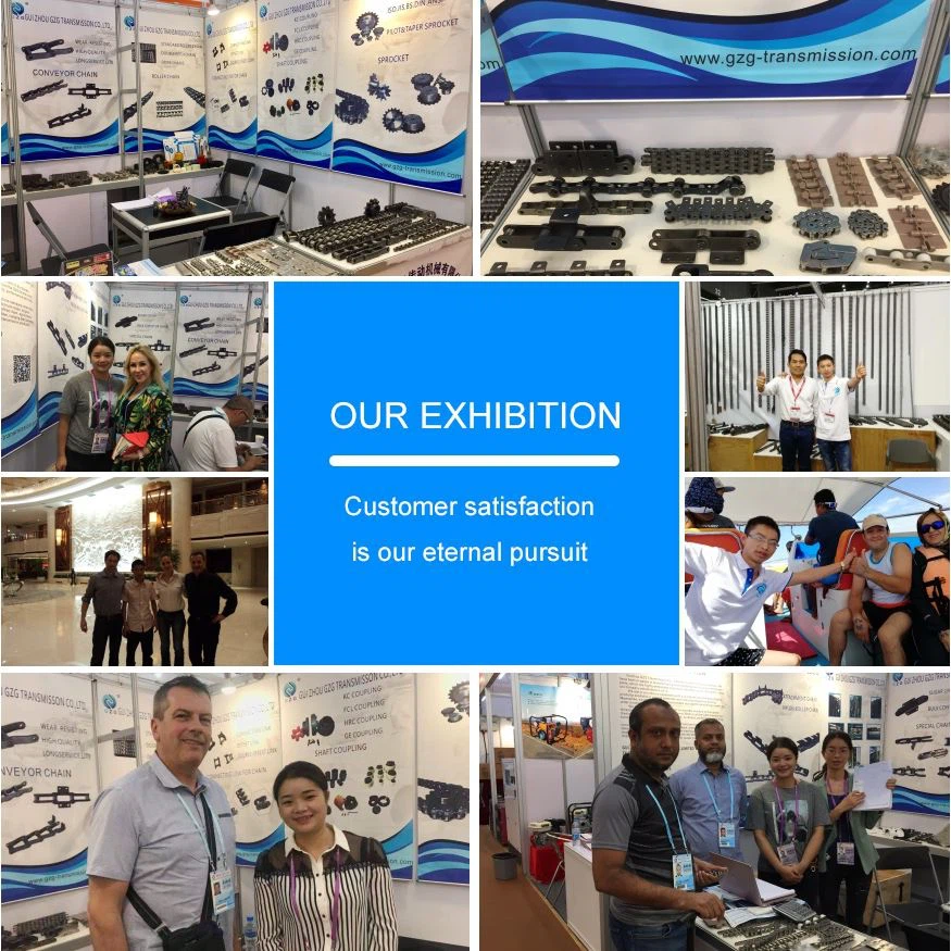 Conveyor short straight side plate chain exhibition