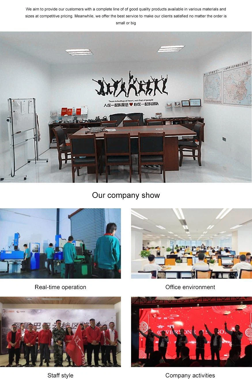 B Series Short Pitch Precision Roller Chain sales team