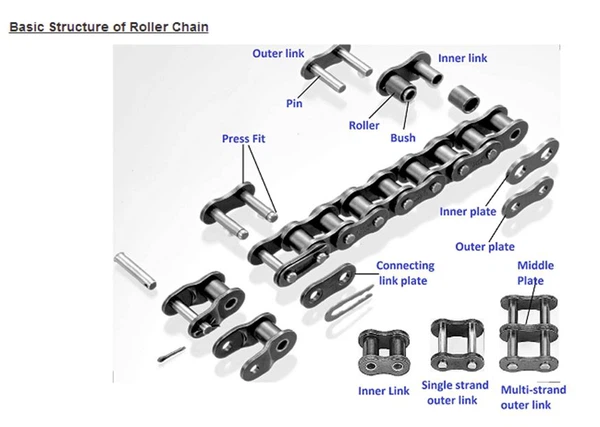 Stainless steel short pitch roller chain breakdown drawing Stainless steel short pitch roller chain breakdown drawing