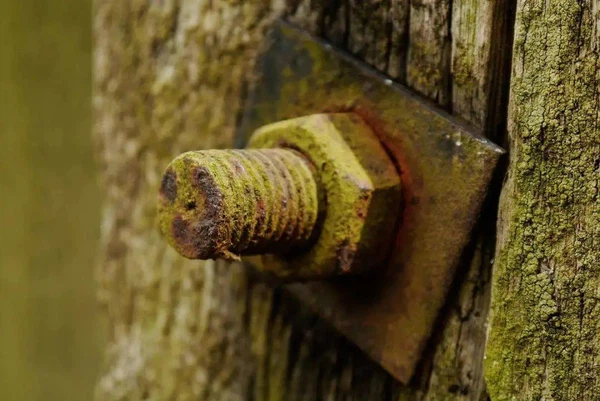 Rusty steel Rusty steel